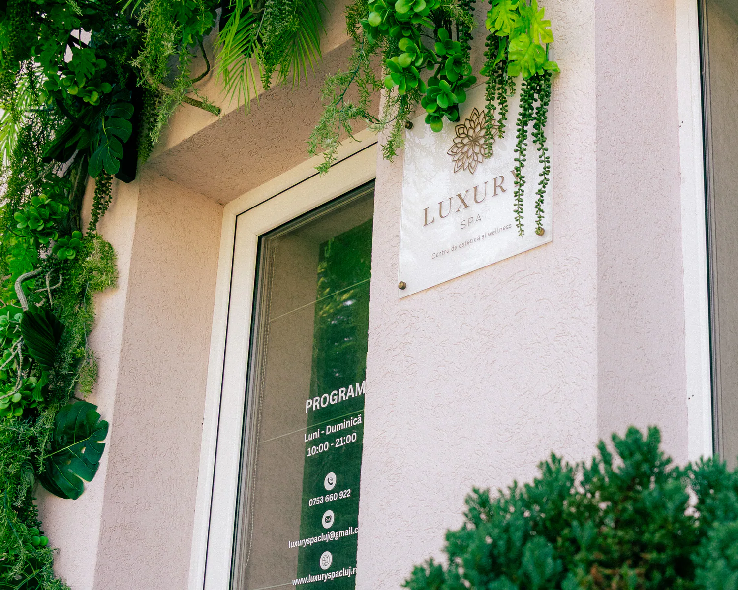 Greenery framing the entrance to Luxury Spa