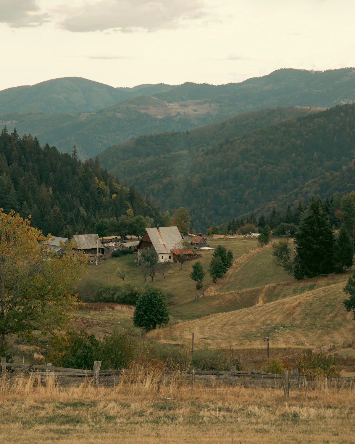 Hillside homes surrounded by forested mountains