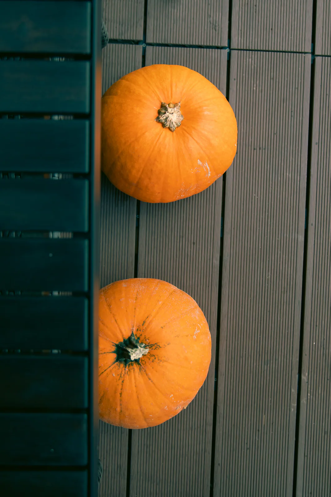 Two pumpkins mounted as autumn decorations on the cabin wall
