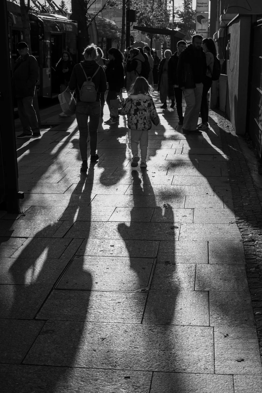 Pedestrians casting long shadows across a street